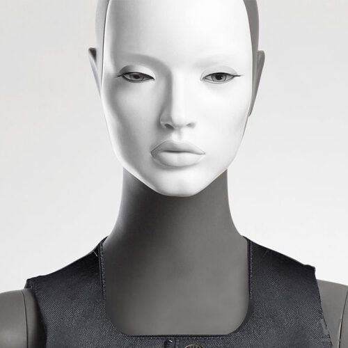 CAMELEON 81 015