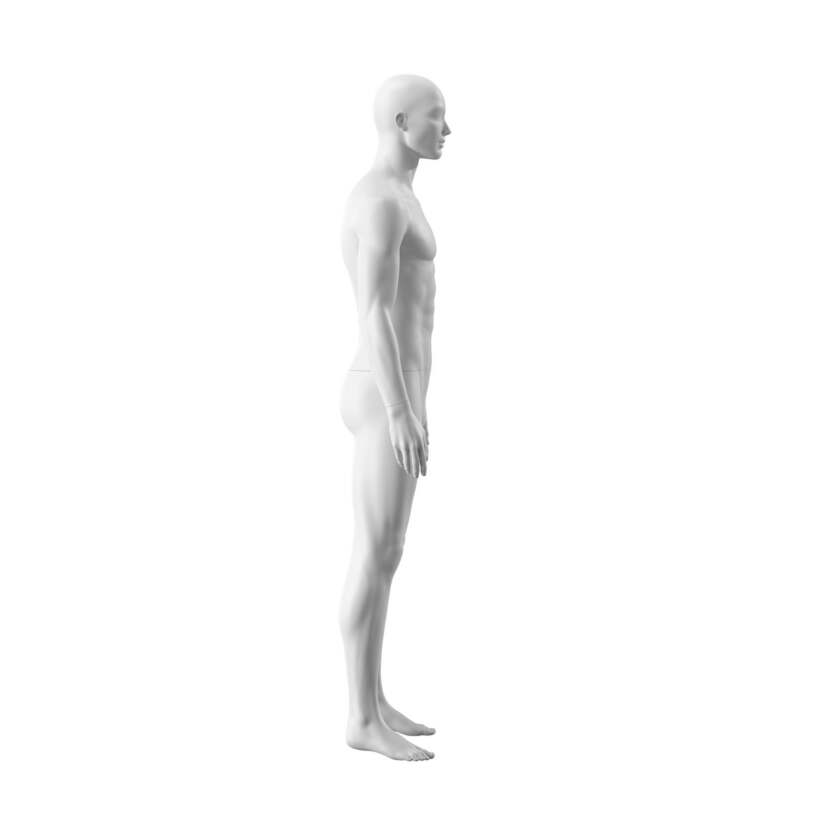 Manichino OSM300 Uomo - immagine 3