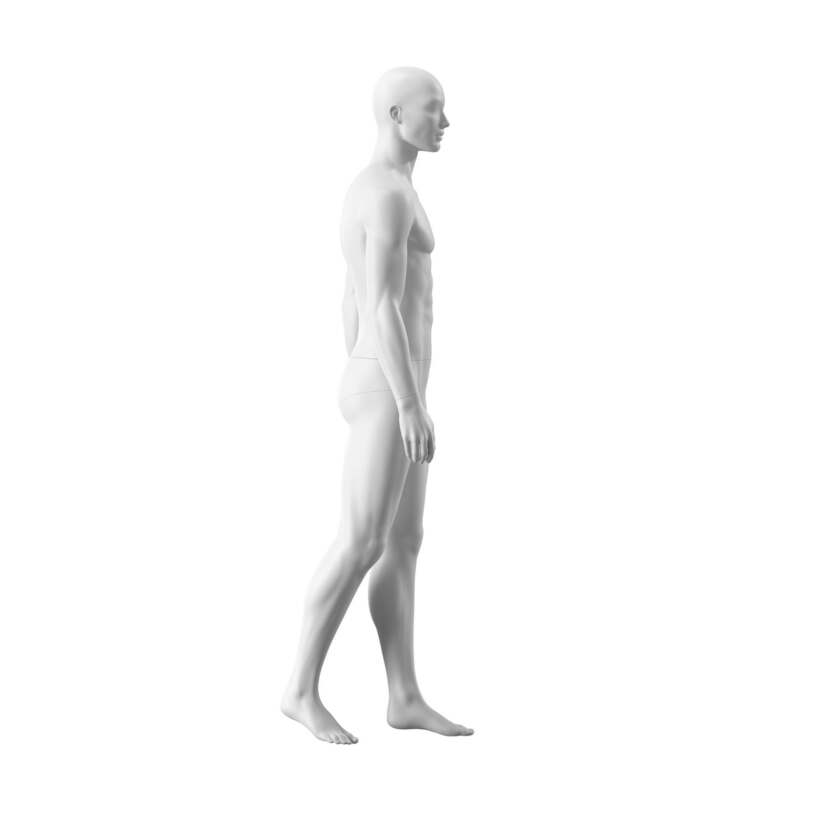 Manichino OSM301 Uomo - immagine 2