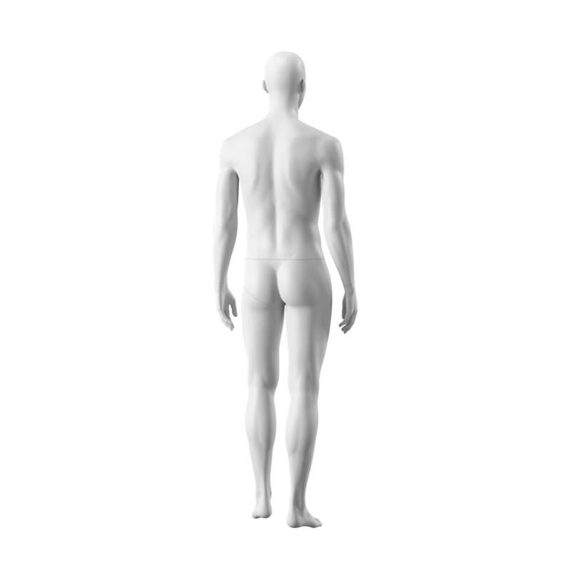Manichino OSM302 Uomo - immagine 3
