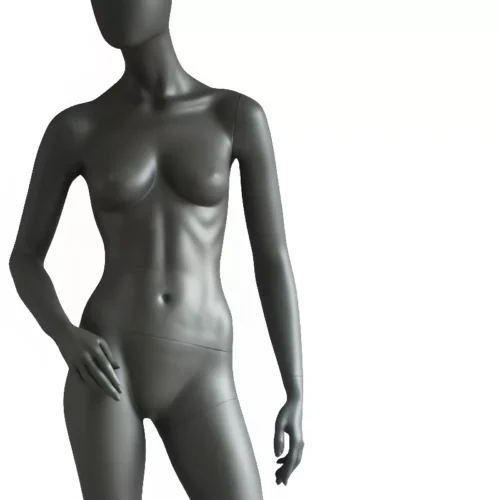 Proportion