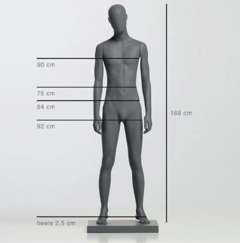 Scopri di più sull'articolo Dimensioni Manichini Uomo Donna