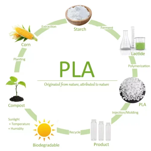 Scopri di più sull'articolo Vantaggi del PLA