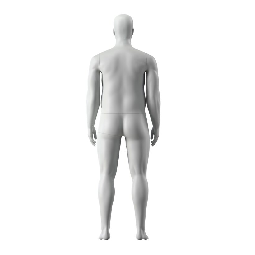 Manichino Uomo M351XXL - immagine 4