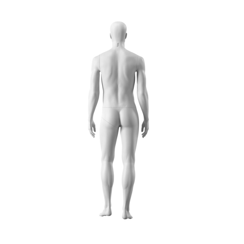 Manichino Milano Uomo M105 - immagine 3