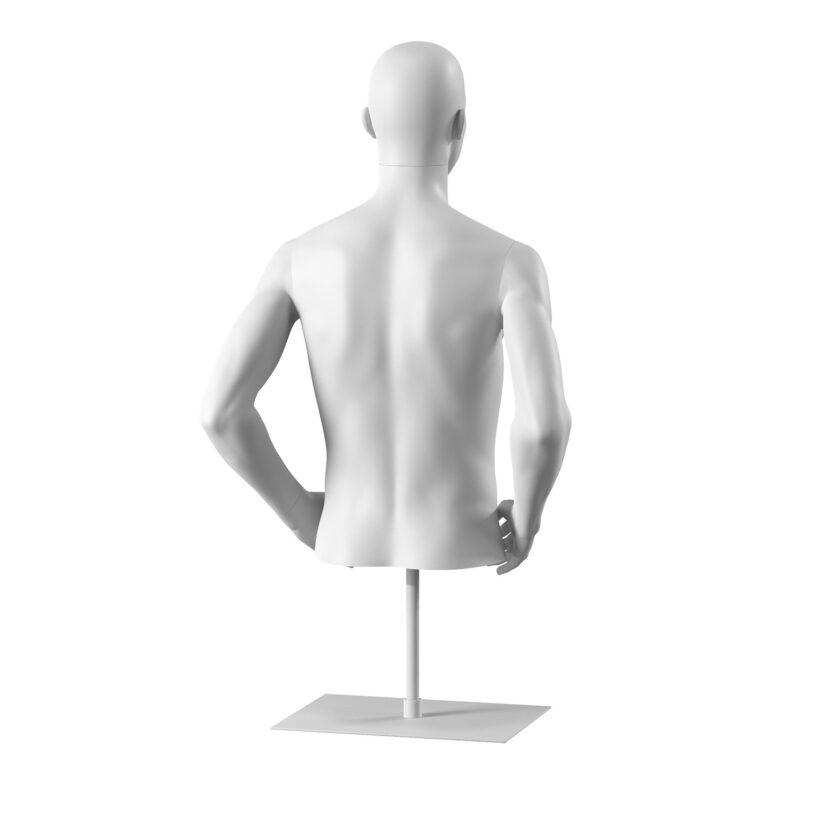 Busto Uomo Omnia M153 - immagine 4