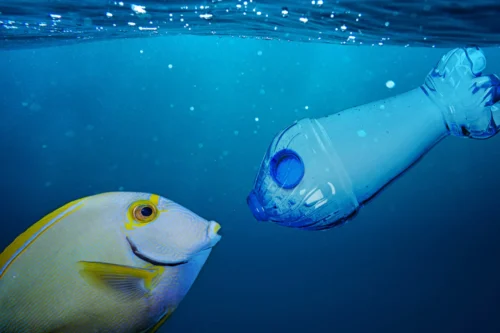 Scopri di più sull'articolo Manichini in HDPE Riciclato