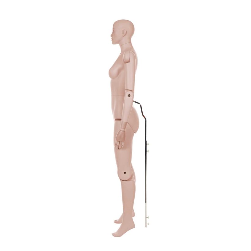 Manichino Donna Snodabile YF50 - immagine 5