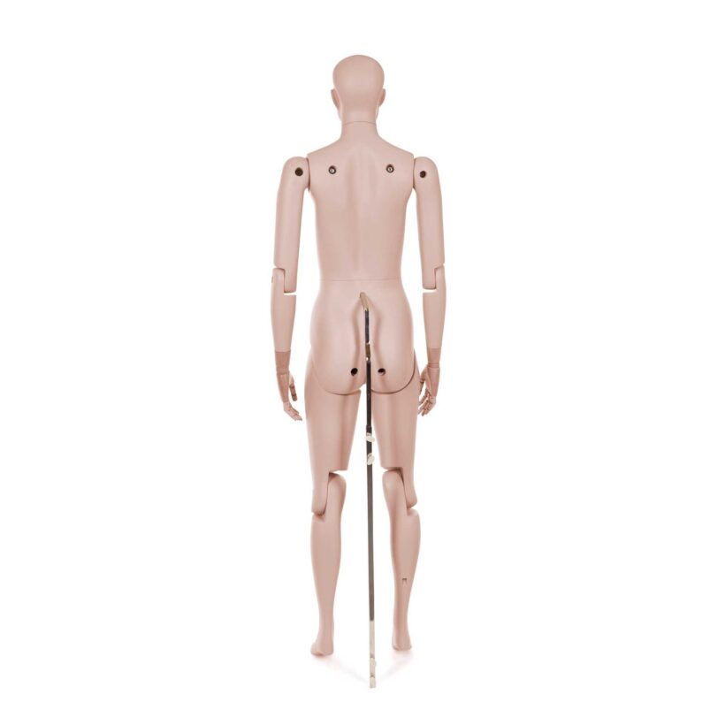 Manichino Donna Snodabile YF50 - immagine 4