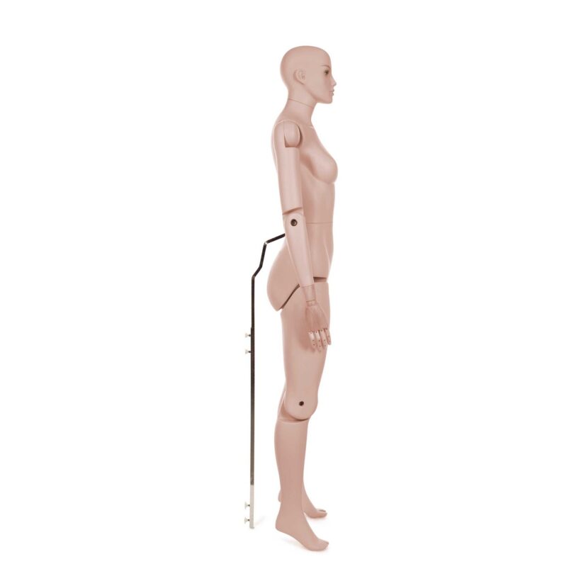 Manichino Donna Snodabile YF50 - immagine 3