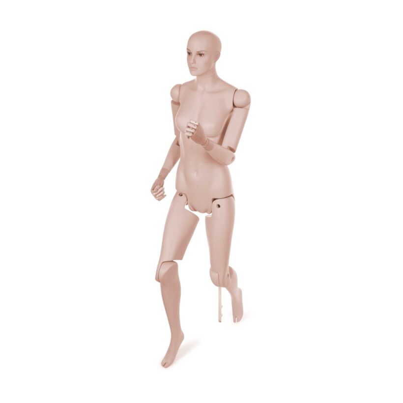 Manichino Donna Snodabile YF50 - immagine 2