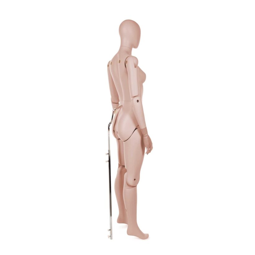 Manichino Donna Snodabile YF65 - immagine 2