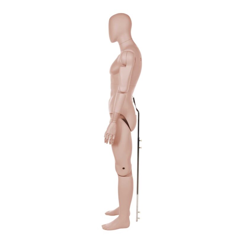 Manichino Uomo Snodabile YM55 - immagine 3