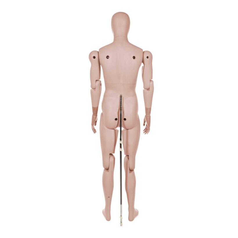 Manichino Uomo Snodabile YM55 - immagine 4
