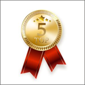 TOP5 fornitori di manichini online 